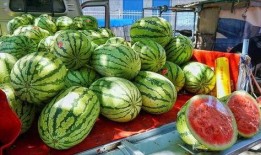 高州网红吃瓜事件真相,真相背后引人深思